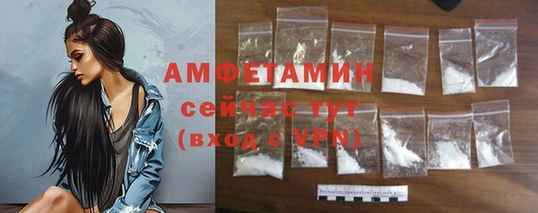 индика Богородск