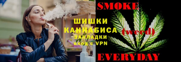 индика Богородск