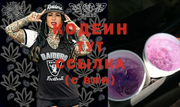 индика Богородск