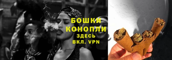 индика Богородск