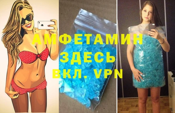 индика Богородск