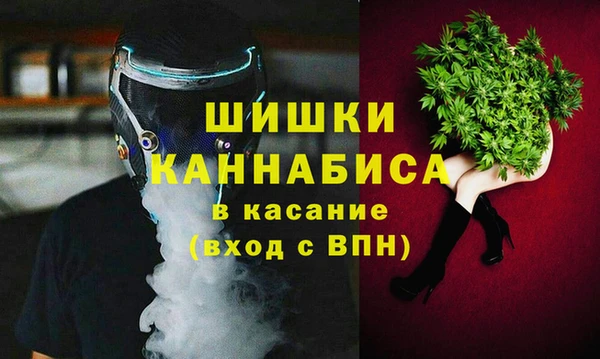 индика Богородск