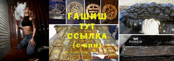 индика Богородск
