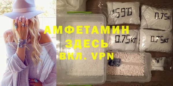 индика Богородск