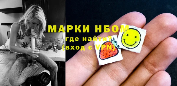 метадон Богданович
