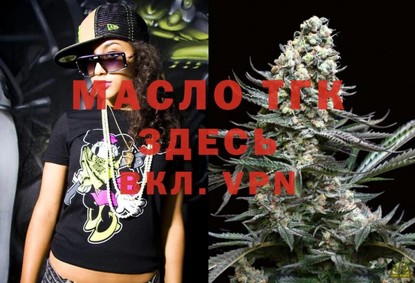 индика Богородск