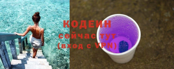 индика Богородск