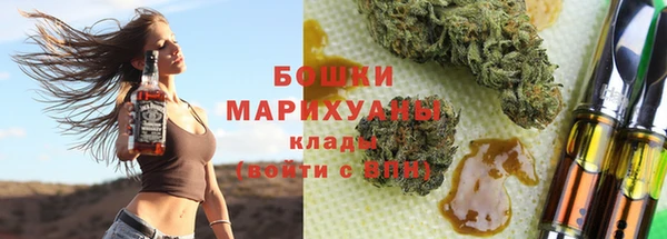 метадон Богданович