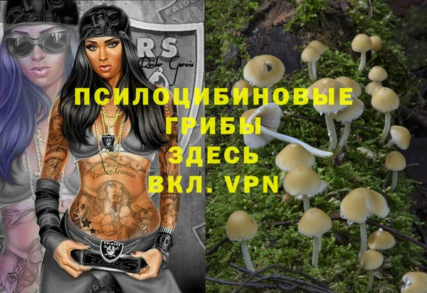 индика Богородск