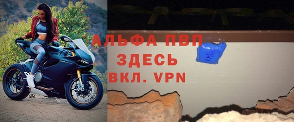 индика Богородск