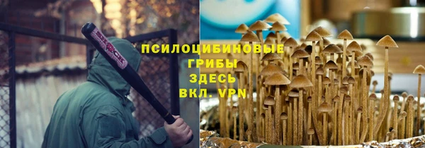 метадон Богданович