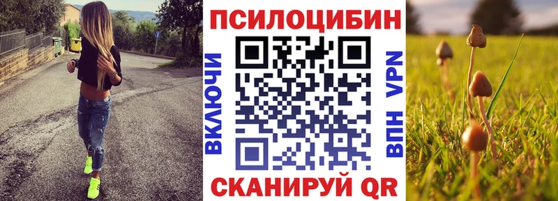 как найти наркотики  Среднеуральск  Псилоцибиновые грибы Cubensis 