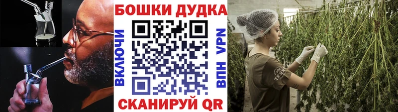Бошки Шишки планчик  Среднеуральск 